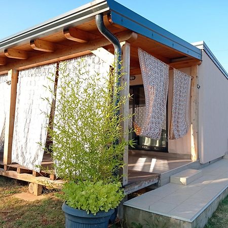 Nature Home Eco-Friendly Pet-Friendly فاجانا المظهر الخارجي الصورة