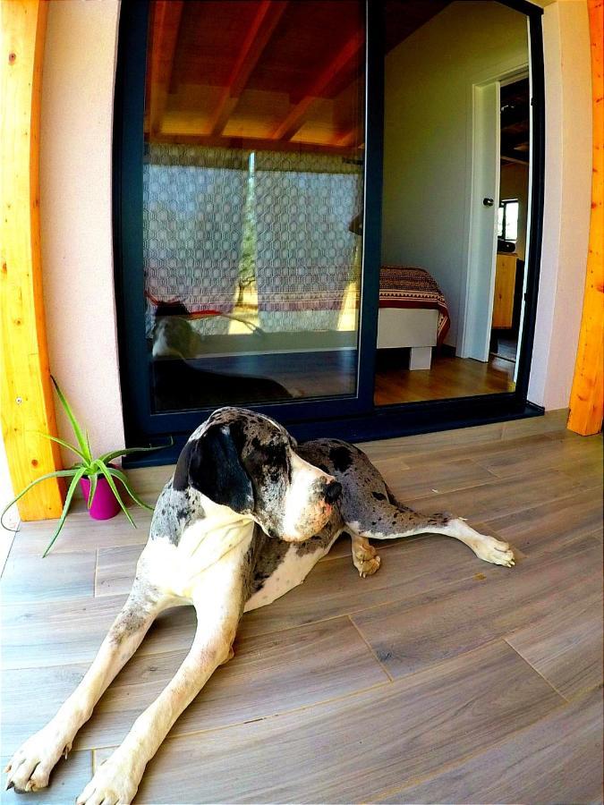 Nature Home Eco-Friendly Pet-Friendly فاجانا المظهر الخارجي الصورة