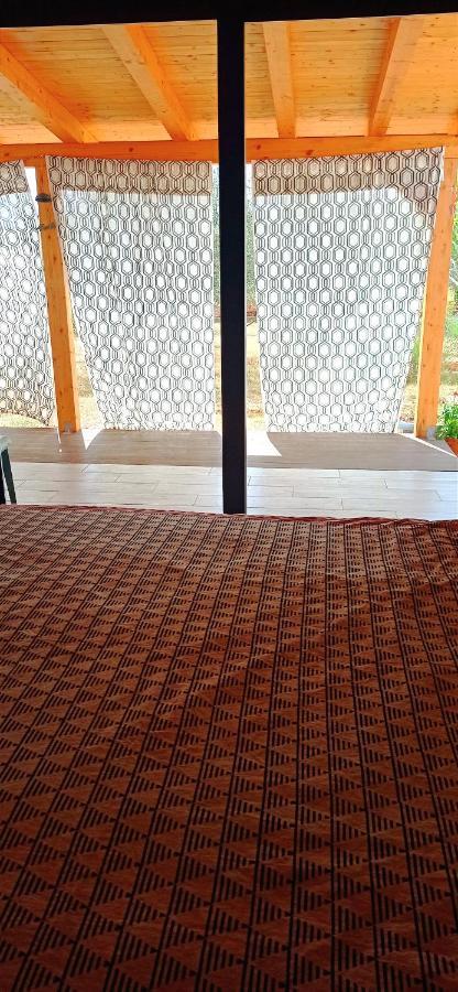 Nature Home Eco-Friendly Pet-Friendly فاجانا المظهر الخارجي الصورة